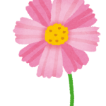 イラスト_コスモス