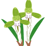 イラスト_春蘭
