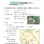 夏の自然観察会