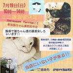 有吉工務店 ミニ譲渡会