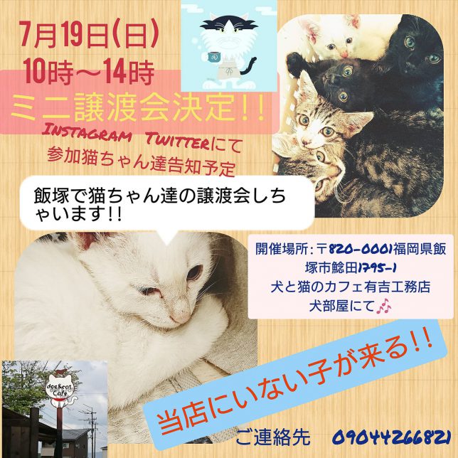 犬と猫のカフェ 有吉工務店 ミニ譲渡会 E Zuka Event Entrance