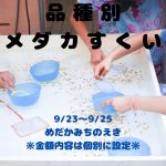 めだか道の駅　品種別　めだかすくい　2022